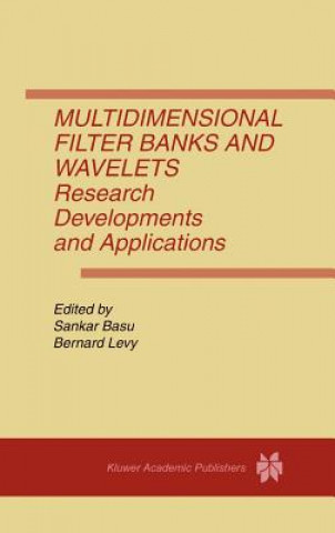 Kniha Multidimensional Filter Banks and Wavelets Sankar Basu