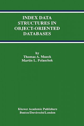 Książka Index Data Structures in Object-Oriented Databases Thomas A. Mueck