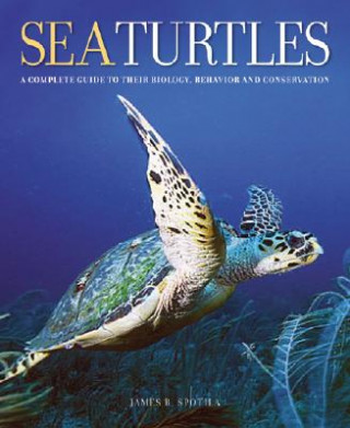 Kniha Sea Turtles James R. Spotila