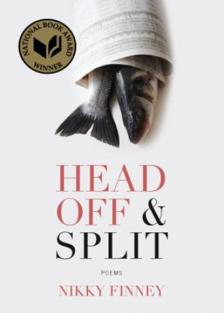Kniha Head Off & Split Nikky Finney