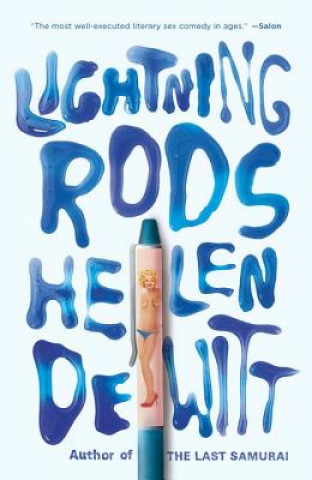 Könyv Lightning Rods Helen DeWitt
