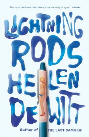 Buch Lightning Rods Helen DeWitt