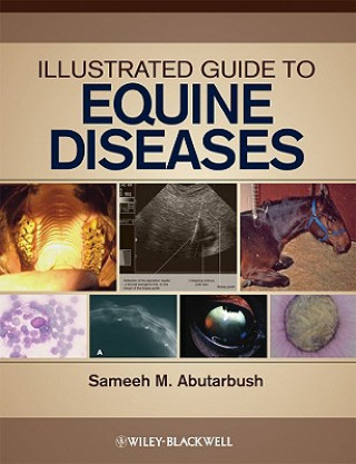 Kniha Illustrated Guide to Equine Diseases Sameeh M. Abutarbush