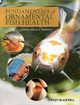 Könyv Fundamentals of Ornamental Fish Health Helen E. Roberts