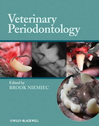 Könyv Veterinary Periodontology Brook A. Niemiec