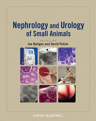 Könyv Nephrology and Urology of Small Animals Joe Bartges