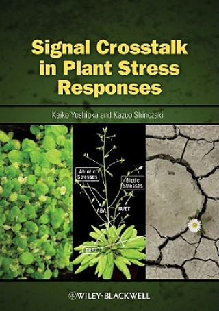 Książka Signal Cross Talk in Plant Stress Responses Keiko Yoshioka