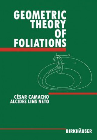 Buch Geometric Theory of Foliations César Camacho