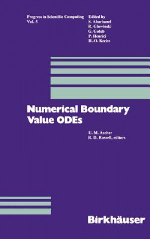 Livro Numerical Boundary Value ODEs scher