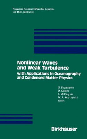 Kniha Nonlinear Waves and Weak Turbulence N. Fitzmaurice