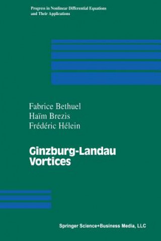 Könyv Ginzburg-Landau Vortices Fabrice Bethuel