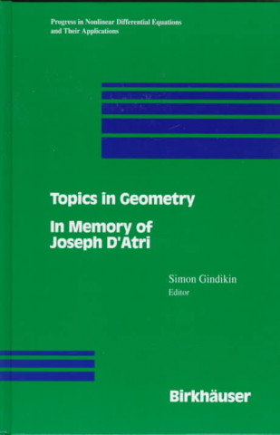 Buch Topics in Geometry Simon Gindikin