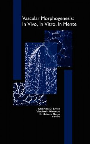 Kniha Vascular Morphogenesis: In Vivo, In Vitro, In Mente Vladimir Mironov