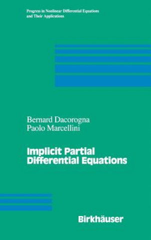 Buch Implicit Partial Differential Equations Bernard Dacorogna