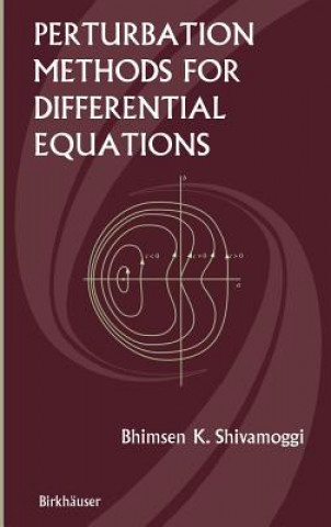 Könyv Perturbation Methods for Differential Equations B. Shivamoggi