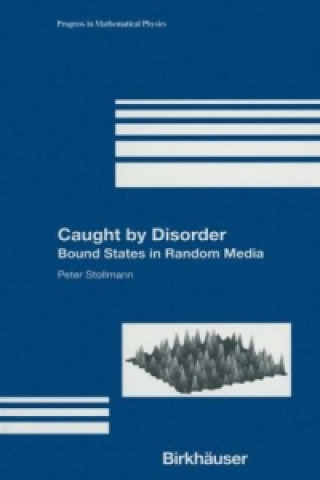 Book Caught by Disorder Peter Stollmann