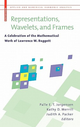 Könyv Representations, Wavelets, and Frames Judith Packer