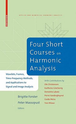 Książka Four Short Courses on Harmonic Analysis Peter Massopust