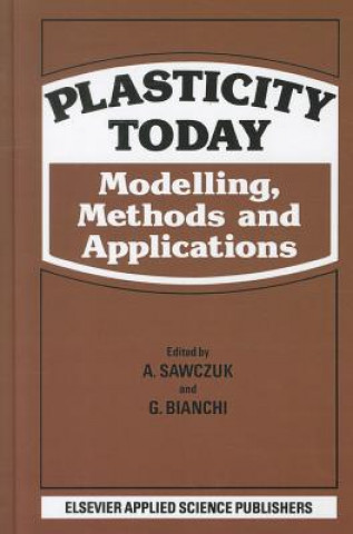 Buch Plasticity Today A. Sawczuk