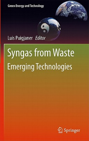Kniha Syngas from Waste Luis Puigjaner