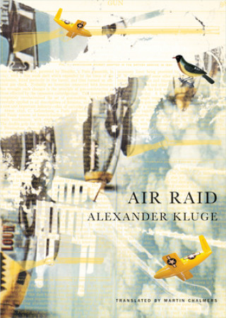 Kniha Air Raid Alexander Kluge