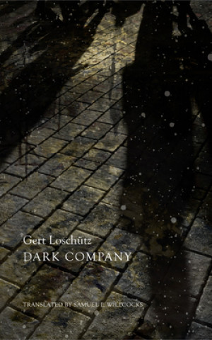 Kniha Dark Company Gert Loschütz