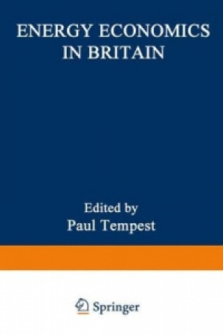 Kniha Energy Economics in Britain Paul Tempest