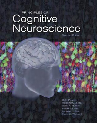 Kniha Principles of Cognitive Neuroscience Dale Purves