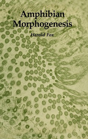 Книга Amphibian Morphogenesis Harold Fox