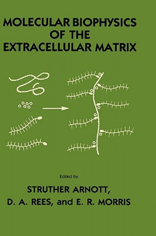 Knjiga Molecular Biophysics of the Extracellular Matrix Struther Arnott