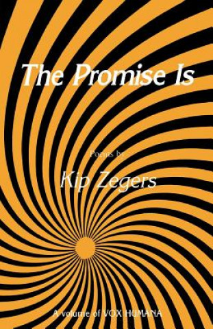 Книга Promise Is Kip Zegers