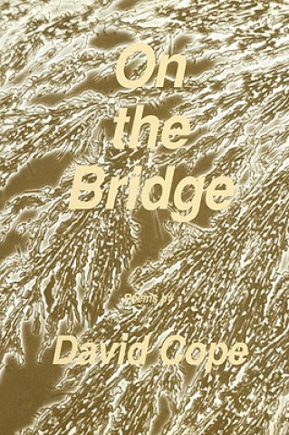 Book On the Bridge David Cope