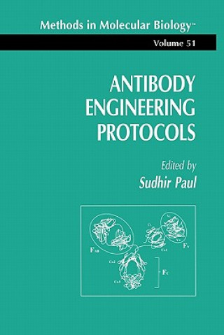 Kniha Antibody Engineering Protocols Sudhir Paul