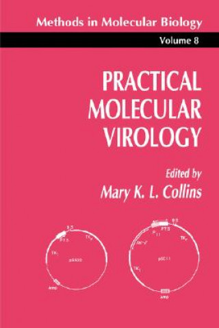 Kniha Practical Molecular Virology Mary K. Collins