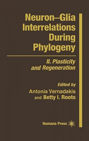 Könyv Neuron-Glia Interrelations During Phylogeny Antonia Vernadakis