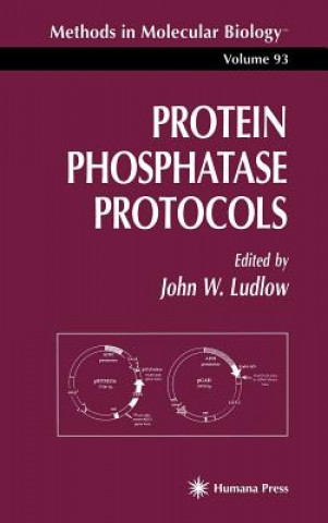 Kniha Protein Phosphatase Protocols John W. Ludlow