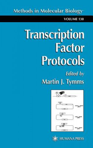 Kniha Transcription Factor Protocols Martin J. Tymms