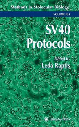 Книга SV40 Protocols Leda Raptis