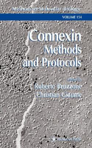 Kniha Connexin Methods and Protocols Roberto Bruzzone