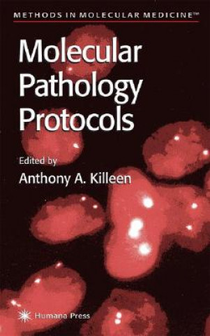 Kniha Molecular Pathology Protocols Anthony A. Killeen