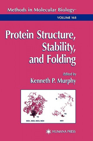 Kniha Protein Structure, Stability, and Folding Kenneth P. Murphy