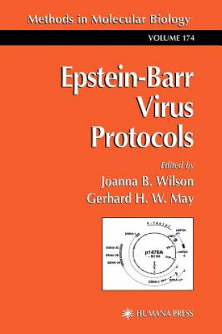 Kniha Epstein-Barr Virus Protocols Joanna B. Wilson