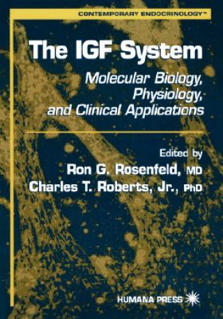 Kniha IGF System Ron G. Rosenfeld