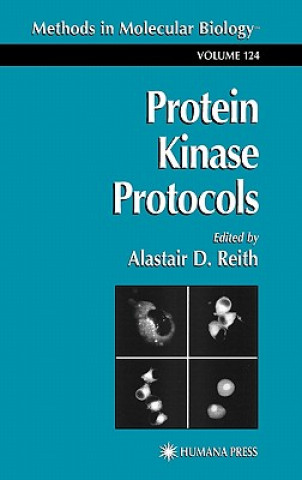 Kniha Protein Kinase Protocols Alastair D. Reith