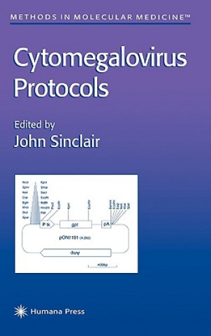 Książka Cytomegalovirus Protocols John Sinclair