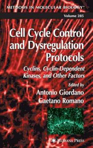 Könyv Cell Cycle Control and Dysregulation Protocols Antonio Giordano