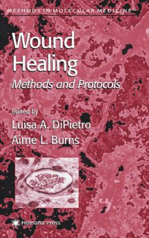 Książka Wound Healing Luisa A. DiPietro