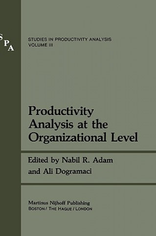 Carte Productivity Analysis at the Organizational Level Nabil R. Adam