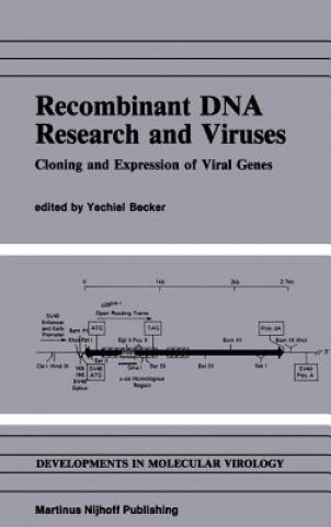 Könyv Recombinant DNA Research and Viruses Y. Becker