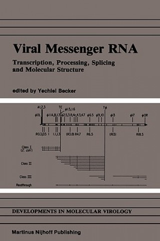 Книга Viral Messenger RNA Yechiel Becker